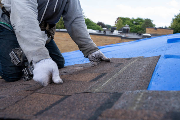 Best Roof Moss and Algae Removal  in Gardena, CA